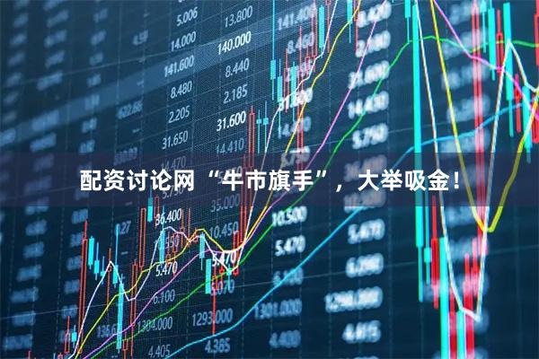 配资讨论网 “牛市旗手”，大举吸金！