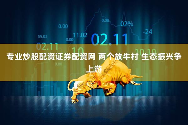 专业炒股配资证券配资网 两个放牛村 生态振兴争上游