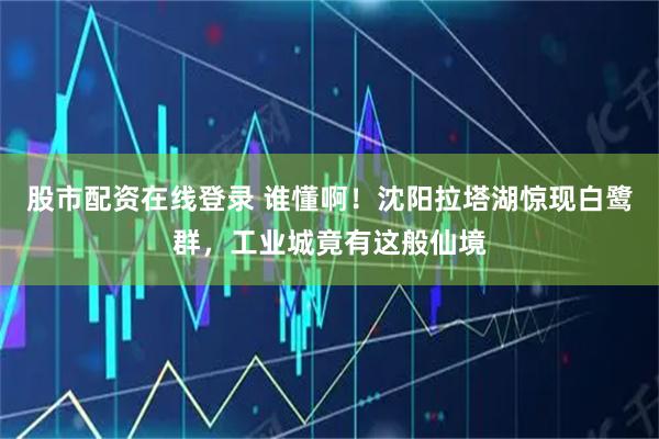 股市配资在线登录 谁懂啊！沈阳拉塔湖惊现白鹭群，工业城竟有这般仙境